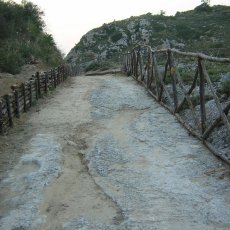 DSCN3220 (Copia)